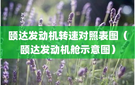 颐达发动机转速对照表图（颐达发动机舱示意图）