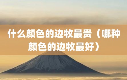 什么颜色的边牧最贵（哪种颜色的边牧最好）