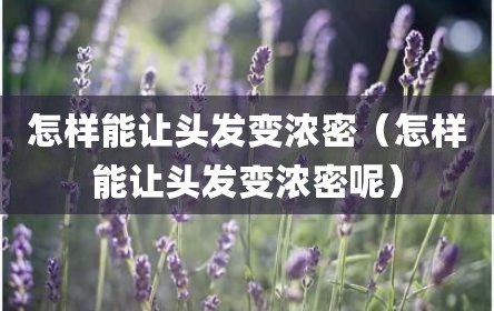 怎样能让头发变浓密（怎样能让头发变浓密呢）