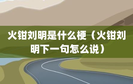 火钳刘明是什么梗（火钳刘明下一句怎么说）