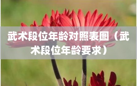 武术段位年龄对照表图（武术段位年龄要求）