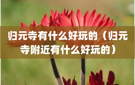 归元寺有什么好玩的（归元寺附近有什么好玩的）