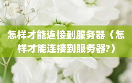 怎样才能连接到服务器（怎样才能连接到服务器?）