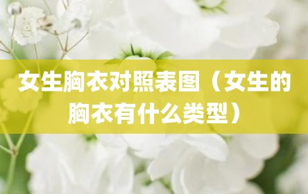 女生胸衣对照表图（女生的胸衣有什么类型）