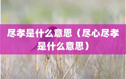 尽孝是什么意思（尽心尽孝是什么意思）