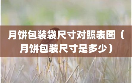 月饼包装袋尺寸对照表图（月饼包装尺寸是多少）