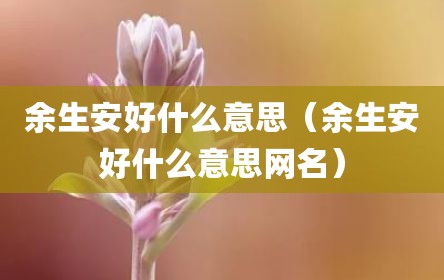 余生安好什么意思（余生安好什么意思网名）