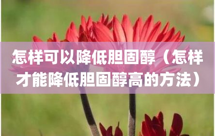 怎样可以降低胆固醇（怎样才能降低胆固醇高的方法）