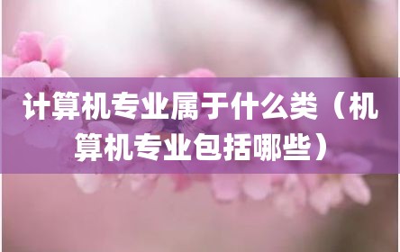 计算机专业属于什么类（机算机专业包括哪些）