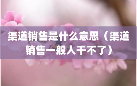 渠道销售是什么意思（渠道销售一般人干不了）