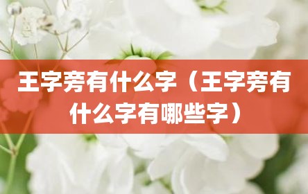 王字旁有什么字（王字旁有什么字有哪些字）