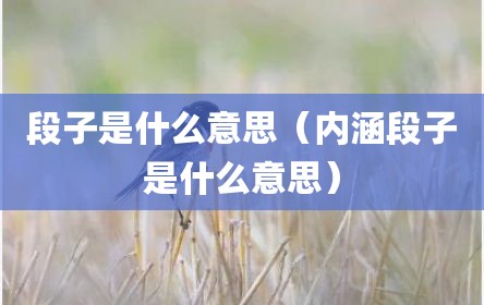 段子是什么意思（内涵段子是什么意思）