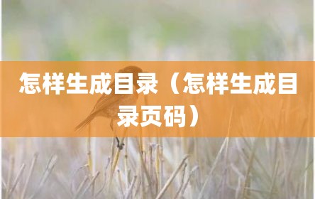 怎样生成目录（怎样生成目录页码）