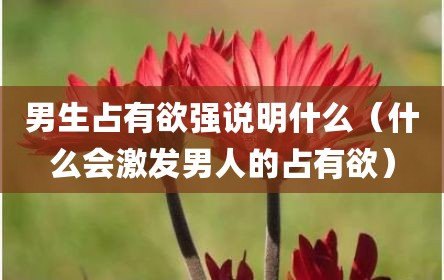 男生占有欲强说明什么（什么会激发男人的占有欲）