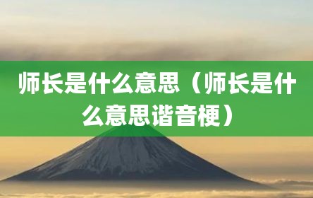 师长是什么意思（师长是什么意思谐音梗）