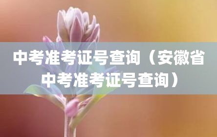 中考准考证号查询（安徽省中考准考证号查询）