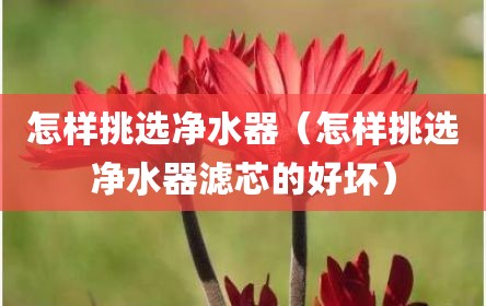 怎样挑选净水器（怎样挑选净水器滤芯的好坏）
