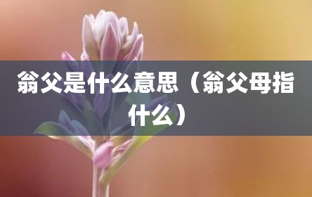 翁父是什么意思（翁父母指什么）