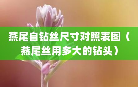 燕尾自钻丝尺寸对照表图（燕尾丝用多大的钻头）