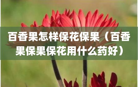 百香果怎样保花保果（百香果保果保花用什么药好）