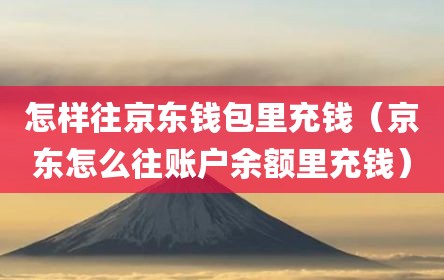 怎样往京东钱包里充钱（京东怎么往账户余额里充钱）