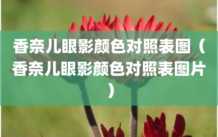 香奈儿眼影颜色对照表图（香奈儿眼影颜色对照表图片）