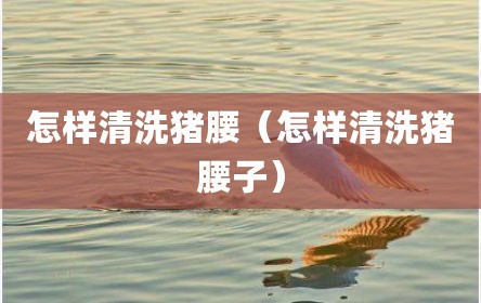怎样清洗猪腰（怎样清洗猪腰子）