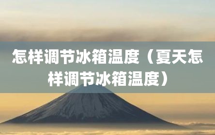 怎样调节冰箱温度（夏天怎样调节冰箱温度）