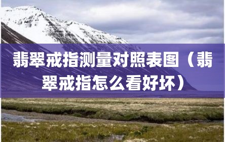 翡翠戒指测量对照表图（翡翠戒指怎么看好坏）