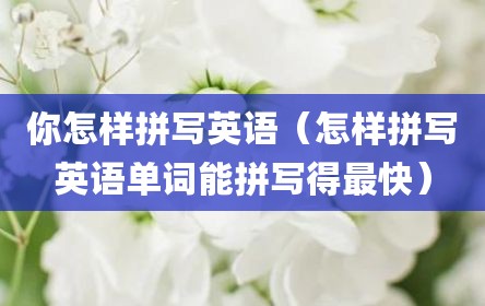你怎样拼写英语（怎样拼写英语单词能拼写得最快）