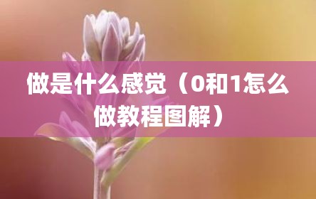 做是什么感觉（0和1怎么做教程图解）