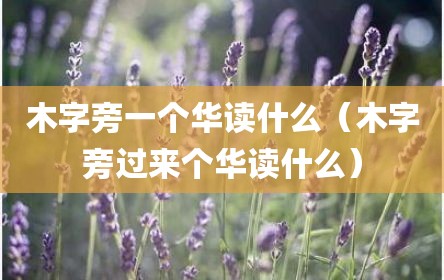 木字旁一个华读什么（木字旁过来个华读什么）