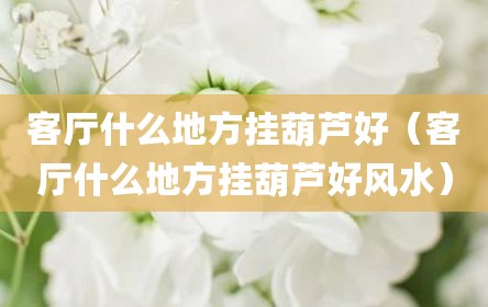 客厅什么地方挂葫芦好（客厅什么地方挂葫芦好风水）
