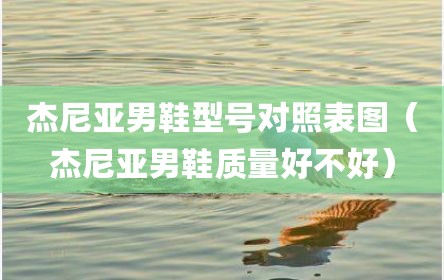 杰尼亚男鞋型号对照表图（杰尼亚男鞋质量好不好）