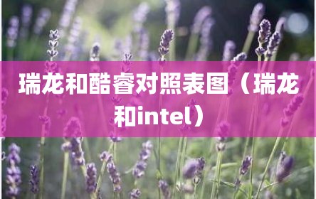 瑞龙和酷睿对照表图（瑞龙和intel）