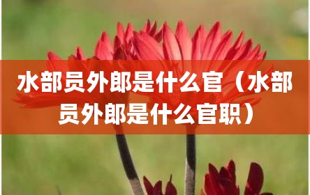 水部员外郎是什么官（水部员外郎是什么官职）