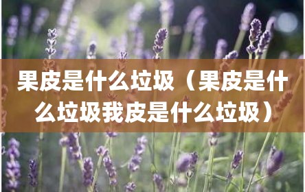 果皮是什么垃圾（果皮是什么垃圾我皮是什么垃圾）