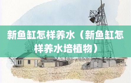 新鱼缸怎样养水（新鱼缸怎样养水培植物）