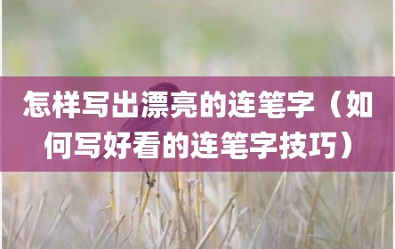 怎样写出漂亮的连笔字（如何写好看的连笔字技巧）