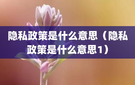 隐私政策是什么意思（隐私政策是什么意思1）