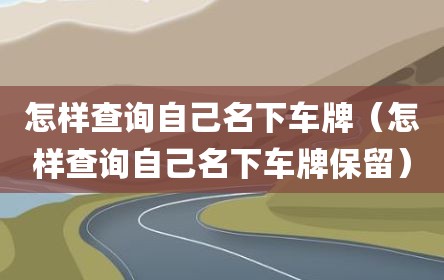 怎样查询自己名下车牌（怎样查询自己名下车牌保留）