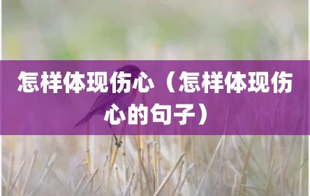 怎样体现伤心（怎样体现伤心的句子）