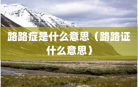 路路症是什么意思（路路证什么意思）