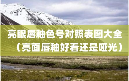 亮眼唇釉色号对照表图大全（亮面唇釉好看还是哑光）