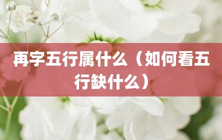 再字五行属什么（如何看五行缺什么）