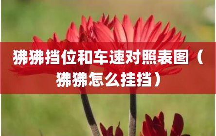 狒狒挡位和车速对照表图（狒狒怎么挂挡）