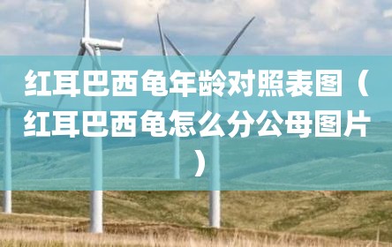 红耳巴西龟年龄对照表图（红耳巴西龟怎么分公母图片）