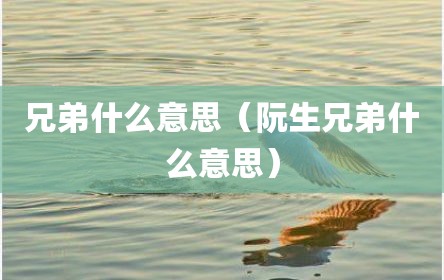兄弟什么意思（阮生兄弟什么意思）