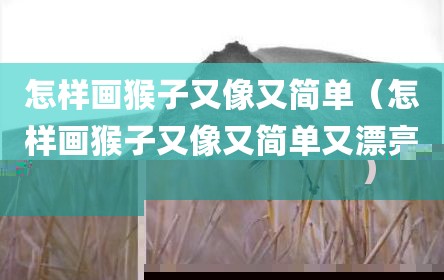 怎样画猴子又像又简单（怎样画猴子又像又简单又漂亮）