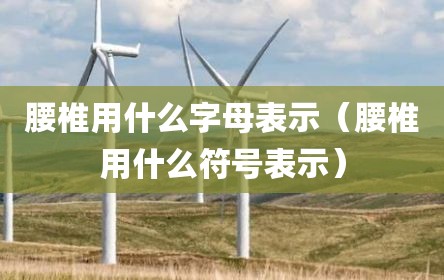 腰椎用什么字母表示（腰椎用什么符号表示）